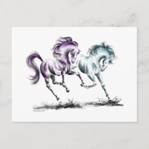 Wildpferde Postkarte