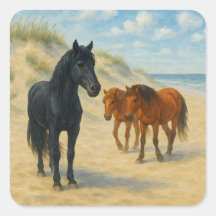 Wildpferde von Corolla North Carolina Aquarell