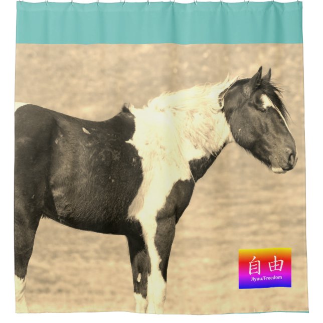 WILDPFERDE VON UTAH PINTO CUSTOM SHOWER CURTAIN DUSCHVORHANG (Vorderseite)