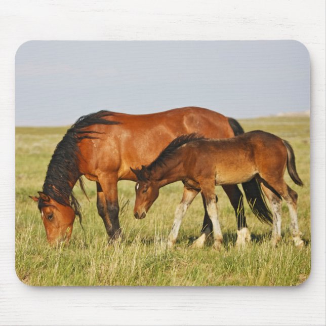 Wildpferdmutter und Fohlen beim Grasen Mousepad (Vorne)