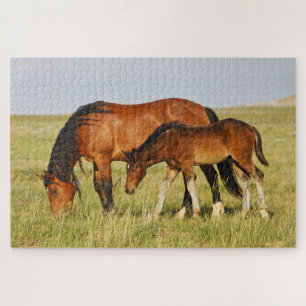 Wildpferdmutter und Fohlen beim Grasen Puzzle