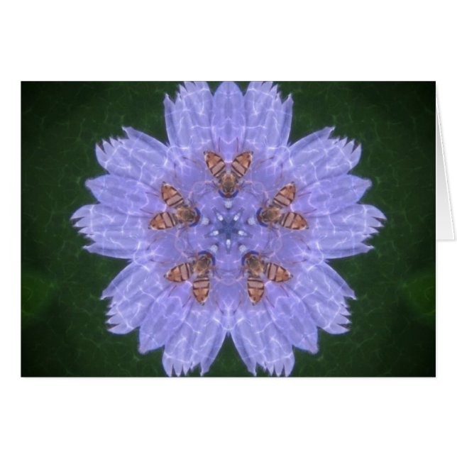 Wildpflanzen mit Bienen (Vorderseite (Horizontal))