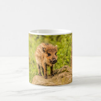 Wildschwein Kaffeetasse