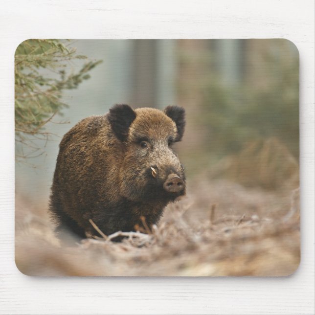Wildschwein!!! Wild Boar!!! Mousepad (Vorne)