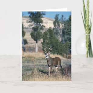 Wildschweinbuck Karte