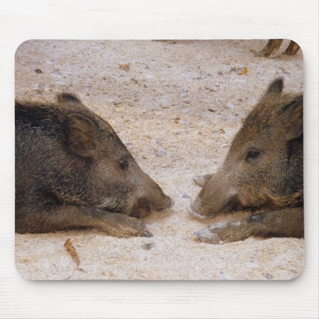 Wildschweine - Wild Hog Mousepad (Vorne)