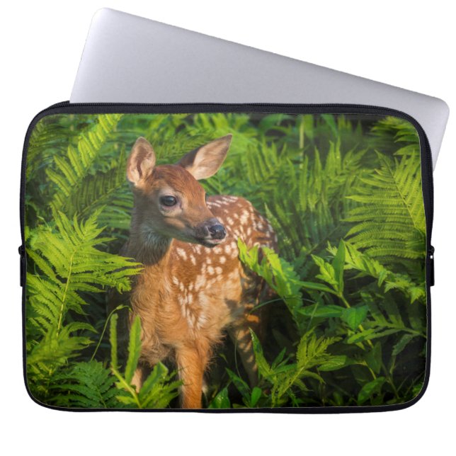 Wildschweingewächse | Minnesota Laptopschutzhülle (Vorderseite)