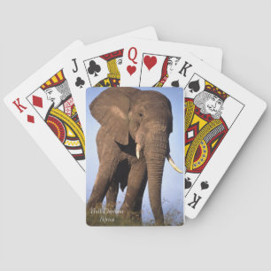 Wildspielkarten Spielkarten