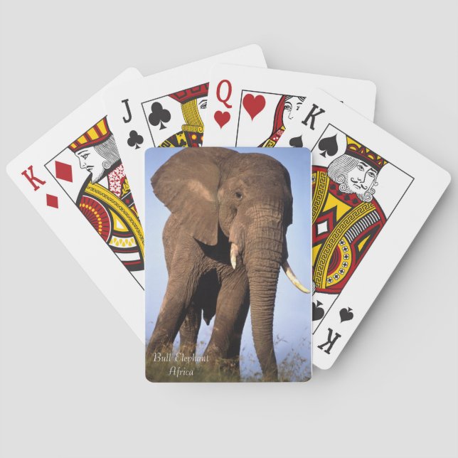Wildspielkarten Spielkarten (Rückseite)
