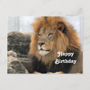 Wildtier-Löwe-Foto-Geburtstag Postkarte