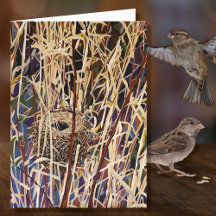 Wildtier-Nest leer