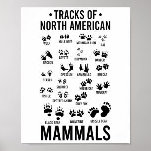 Wildtier-Spuren nordamerikanischer Säugetiere - Wi Poster