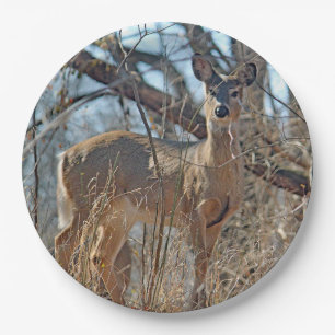 Wildtier-Wald-Foto Pappteller