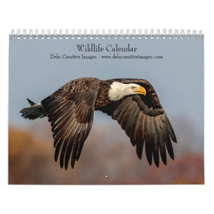 Wildtiere 2026 kalender