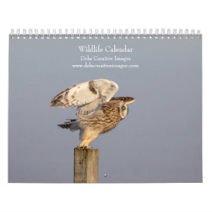 Wildtiere 2026 kalender