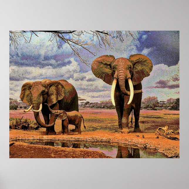 Wildtiere 2 poster (Vorne)