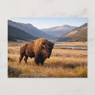 Wildtiere Amerikanischer Bison Berglandschaft Postkarte