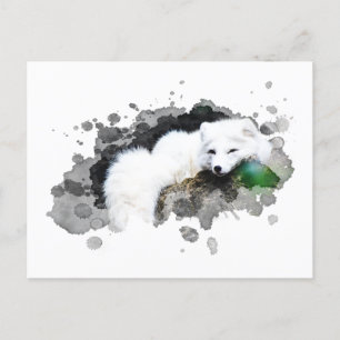 *~* Wildtiere AP18 Schneearktis Weißer Polar Fox Postkarte