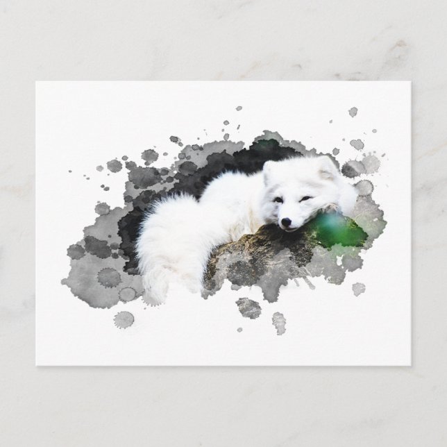 *~* Wildtiere AP18 Schneearktis Weißer Polar Fox Postkarte (Vorderseite)