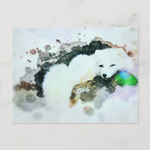 *~* Wildtiere AP18 Schneeweißpolarfuchs Postkarte