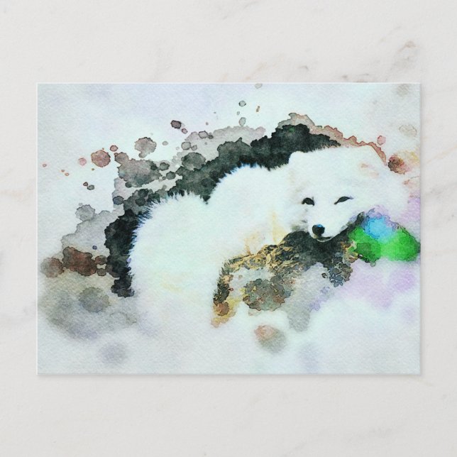 *~* Wildtiere AP18 Schneeweißpolarfuchs Postkarte (Vorderseite)