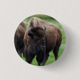 Wildtiere  button