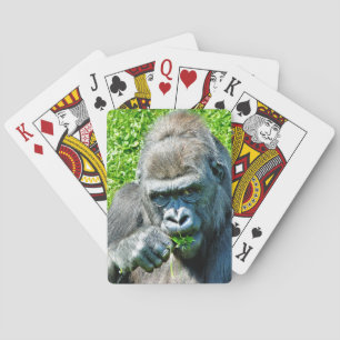 WILDTIERE - GORILLAS SPIELKARTEN