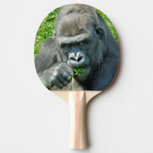 WILDTIERE - GORILLAS TISCHTENNIS SCHLÄGER