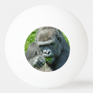 WILDTIERE - GORILLAS TISCHTENNISBALL