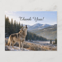 Wildtiere Heulender Grauer Wolf Szene Danke