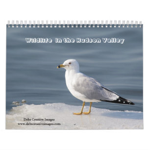 Wildtiere im Hudson Valley 2026 Kalender