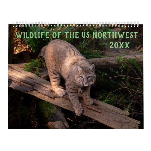 Wildtiere im Nordwesten der USA Kalender (Titelbild)