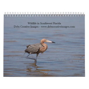 Wildtiere in Südwestflorida 2026 Kalender