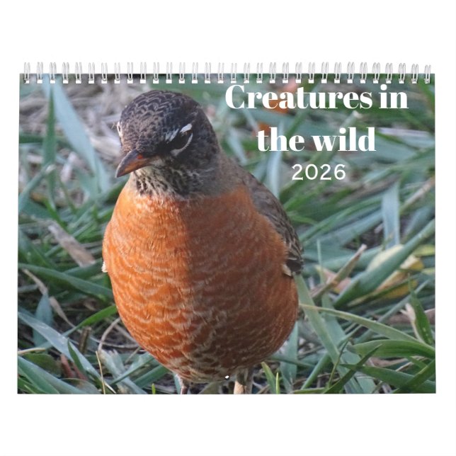 Wildtiere & Insekten Kalender (Titelbild)