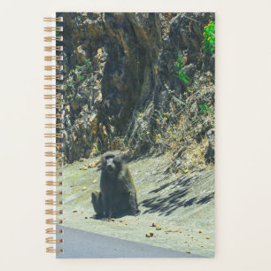 Wildtiere Planer