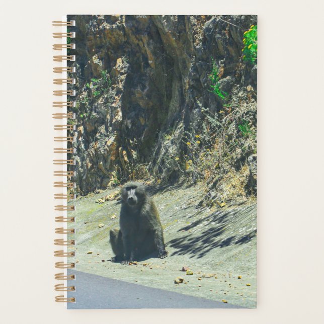 Wildtiere Planer (Vorderseite)