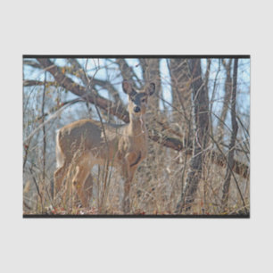Wildtiere seidenpapier