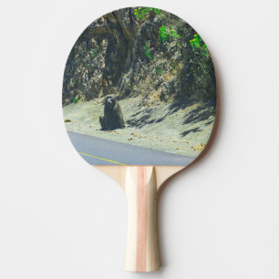Wildtiere Tischtennis Schläger
