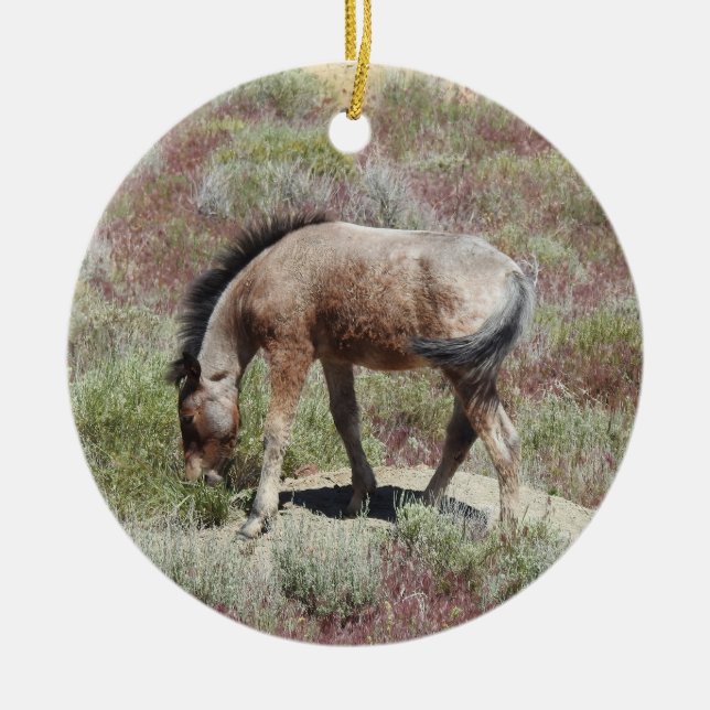 Wildtiere, Wildpferde, wild lebende Tiere, Natur Keramik Ornament (Vorne)