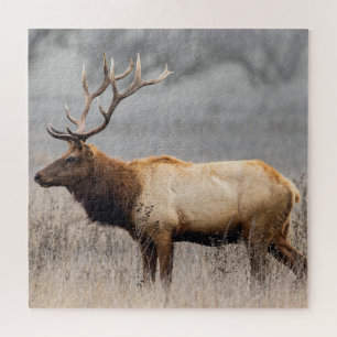 Wildtiere Wildtiere Naturbuck Puzzle
