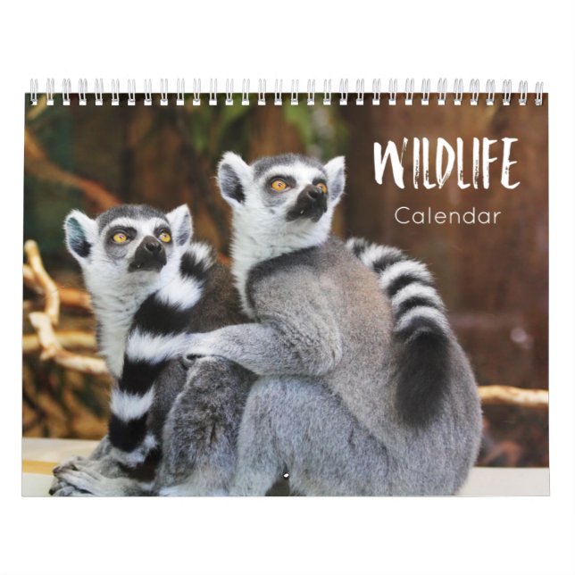 Wildtierkalender 2023 kalender (Titelbild)