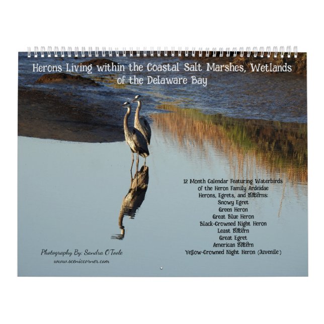 Wildtierkalender, Wasservögel, Reiher Kalender (Titelbild)