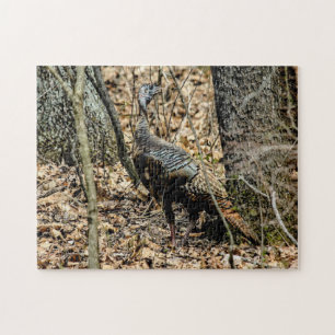 Wildtruthahn im Wald Foto-Puzzle mit Geschenkbox Puzzle