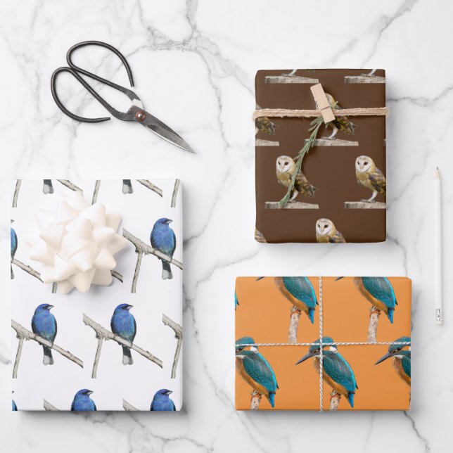 Wildvögel Geschenkpapier Set (Vorderseite)