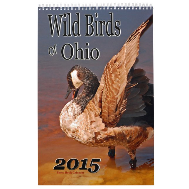 Wildvögel im Ohio-Kalender Kalender (Titelbild)