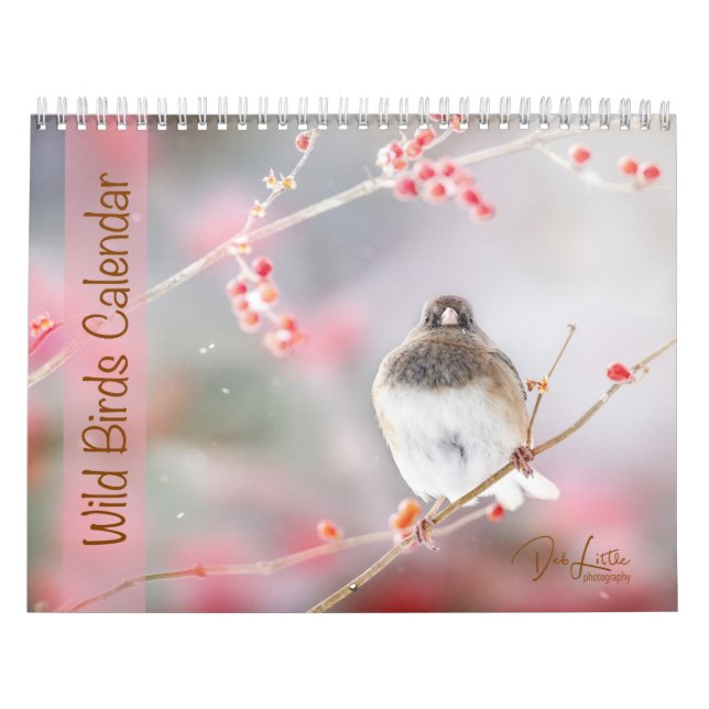 Wildvögel Kalender (Titelbild)