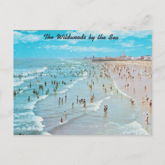 Wildwälder am Meer, New Jersey Postkarte