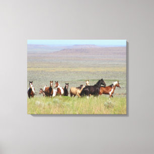WildWest Mustangs Wrapped Canvas Leinwanddruck