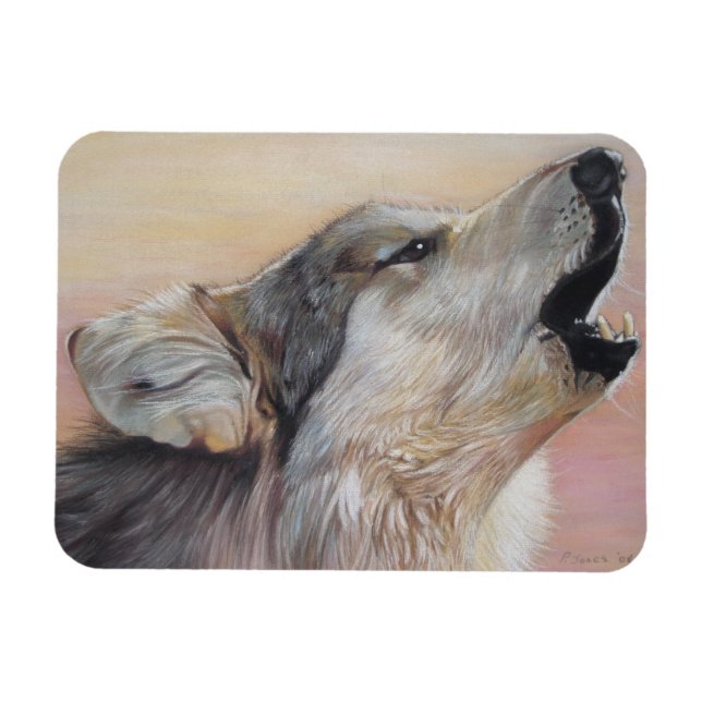 Wildwolf heult gegen den Sonnenuntergang Magnet (Horizontal)