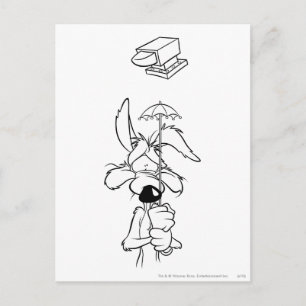 WILE E. COYOTE™ Acme Products Postkarte